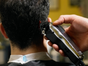 Felony Barber License